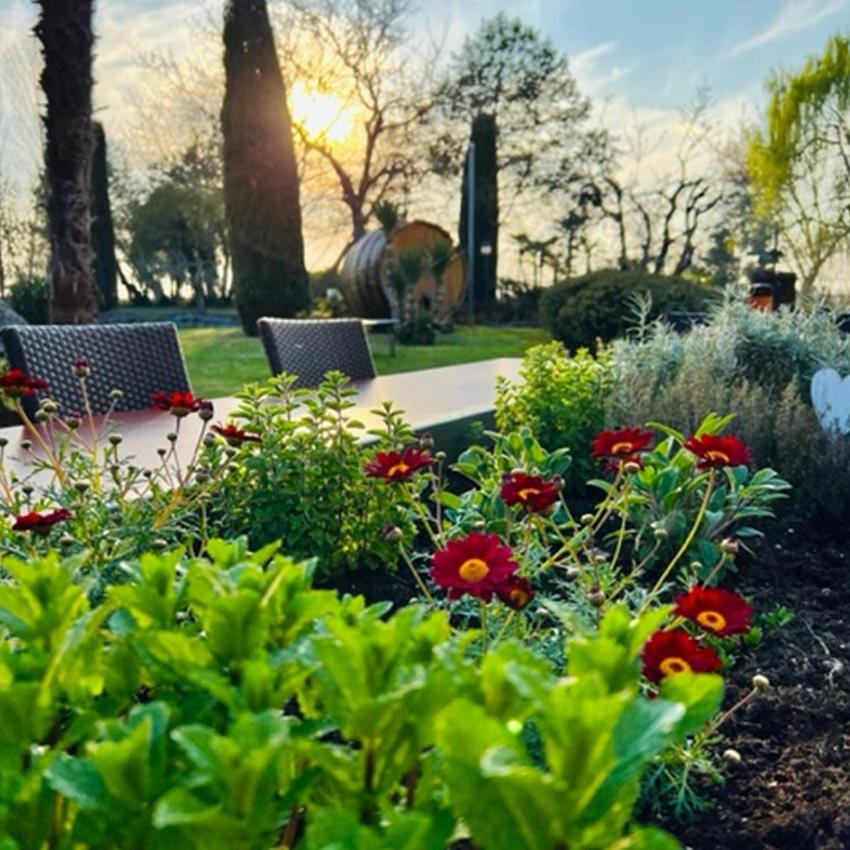 Agriturismo Le Fornase Castelnuovo del Garda Exterior foto